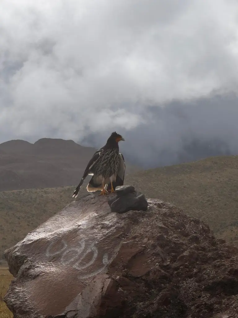 WhatsApp Image 2025-09-24 at 9.56.49 PM (8).webp