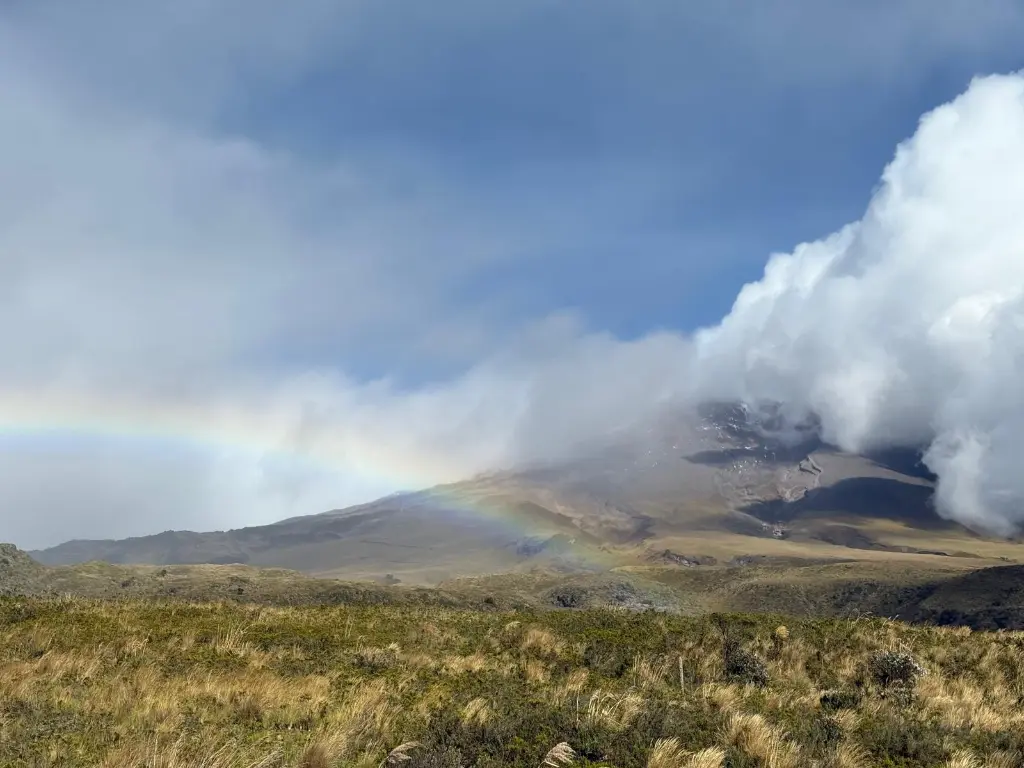 WhatsApp Image 2025-09-24 at 9.57.58 PM (1).webp