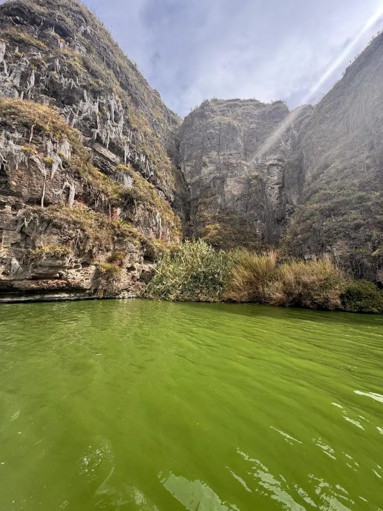 WhatsApp Image 2025-09-25 at 11.10.48 PM (4).webp