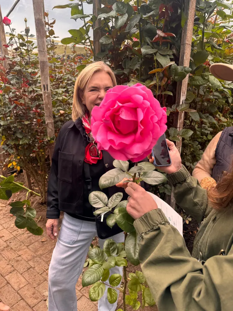 WhatsApp Image 2025-09-24 at 11.30.35 AM (8).webp