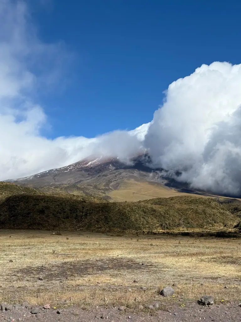 WhatsApp Image 2025-09-24 at 9.57.58 PM.webp