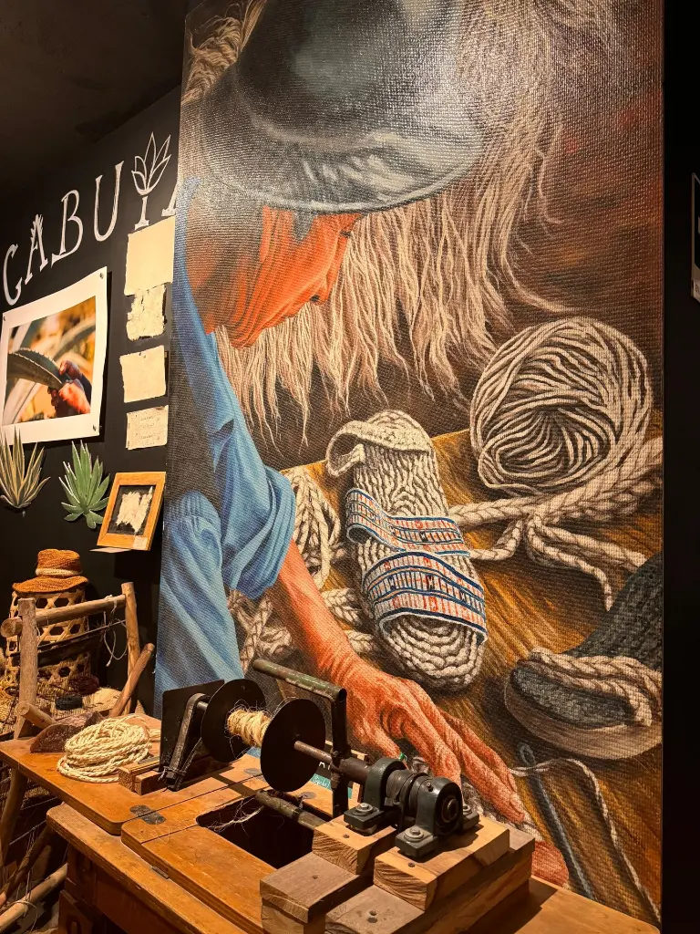 🌎Latitude Zero – Authentic Equator & Agave Journey