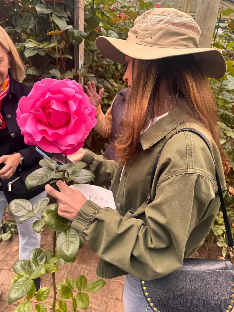 WhatsApp Image 2025-09-15 at 9.49.37 PM (1).webp