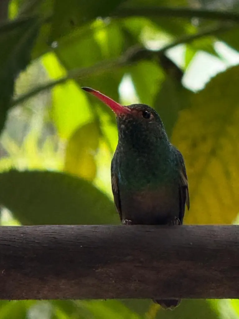 WhatsApp Image 2025-09-29 at 12.41.15 AM (1).webp