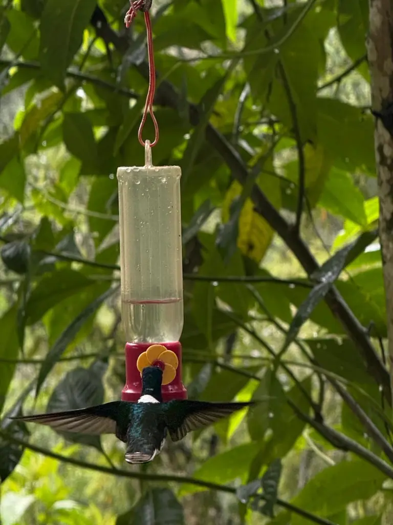 WhatsApp Image 2025-09-29 at 12.41.15 AM.webp