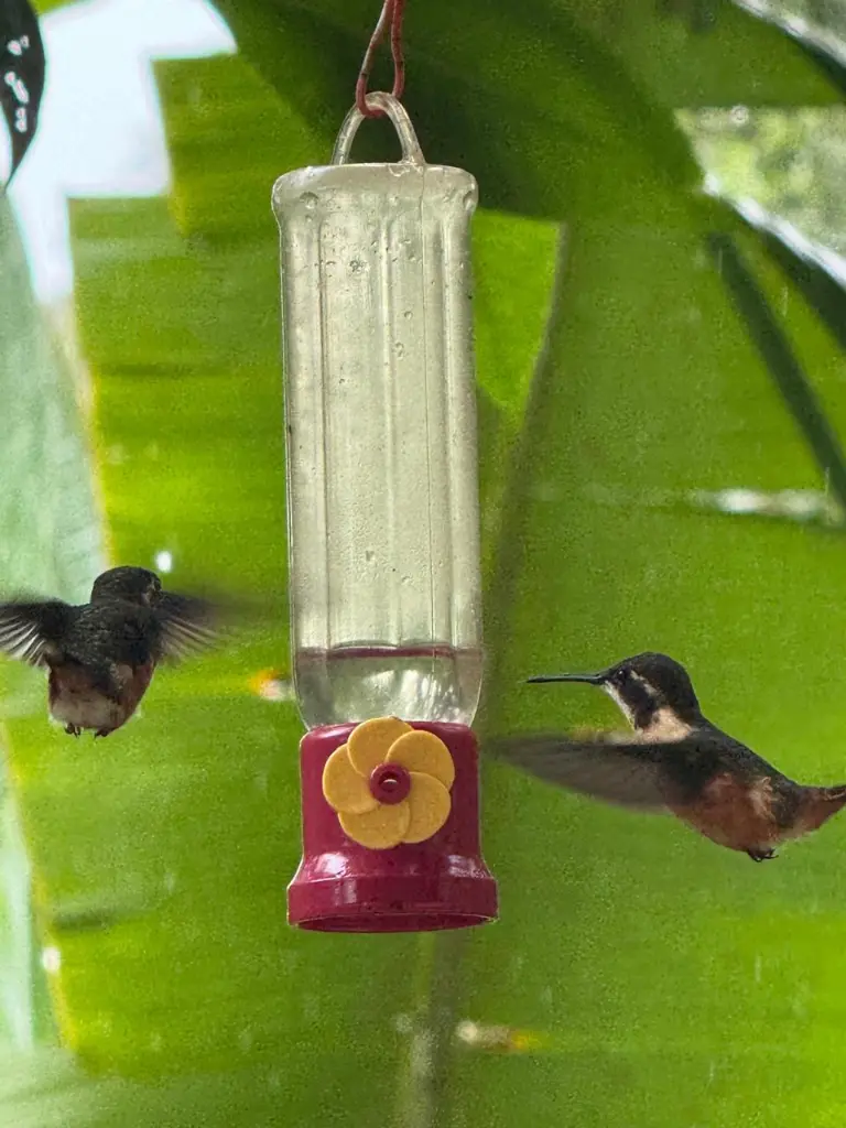 WhatsApp Image 2025-09-29 at 12.41.16 AM.webp