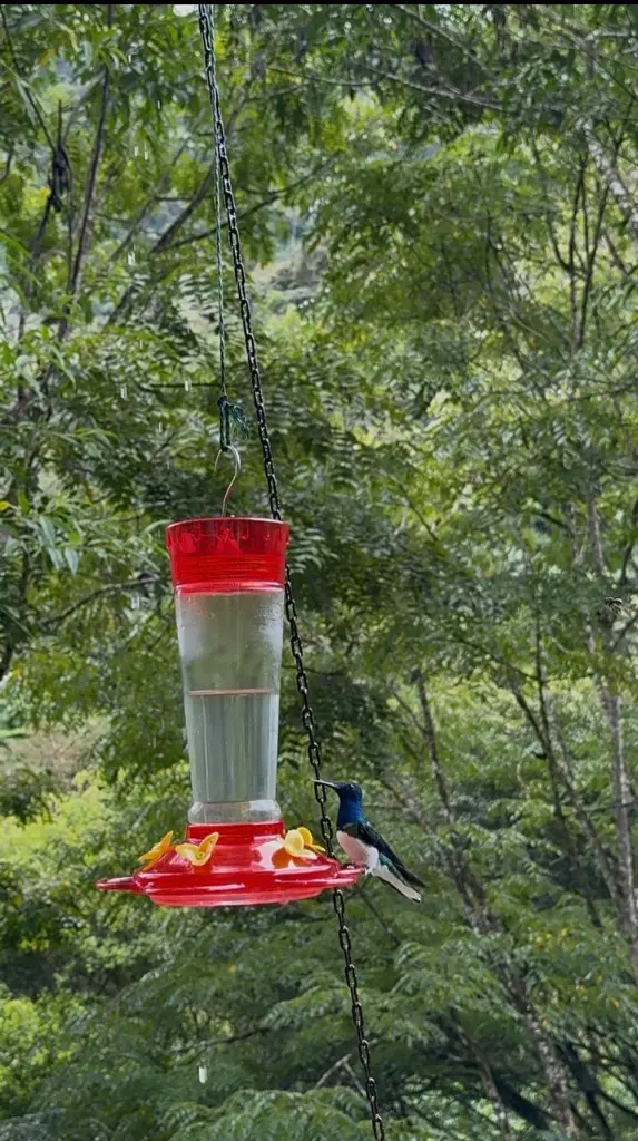 WhatsApp Image 2025-09-29 at 12.41.16 AM (2).webp