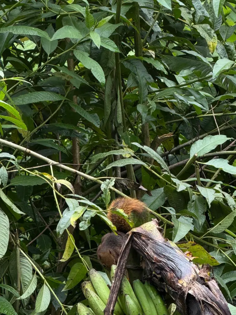 WhatsApp Image 2025-09-29 at 12.41.16 AM (1).webp