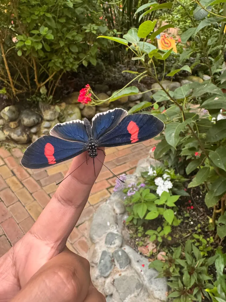 WhatsApp Image 2025-09-29 at 12.40.44 AM (9).webp