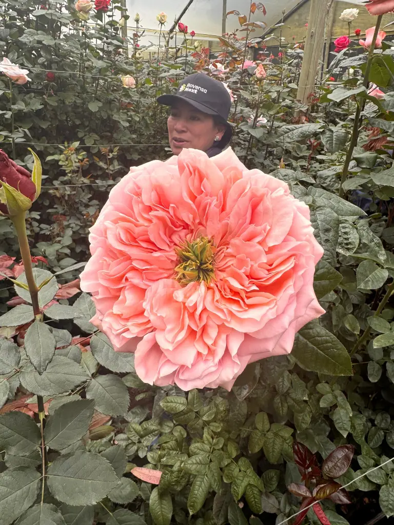 WhatsApp Image 2025-09-24 at 11.30.35 AM (5).webp