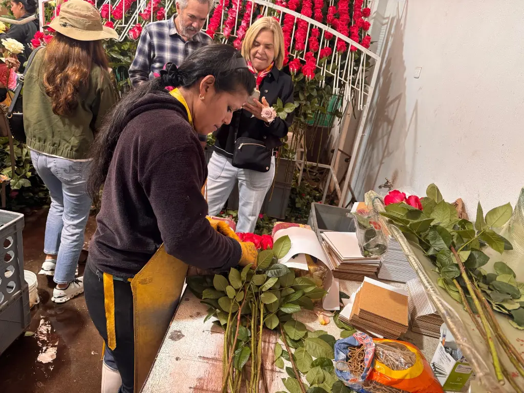 WhatsApp Image 2025-09-24 at 11.30.35 AM (13).webp