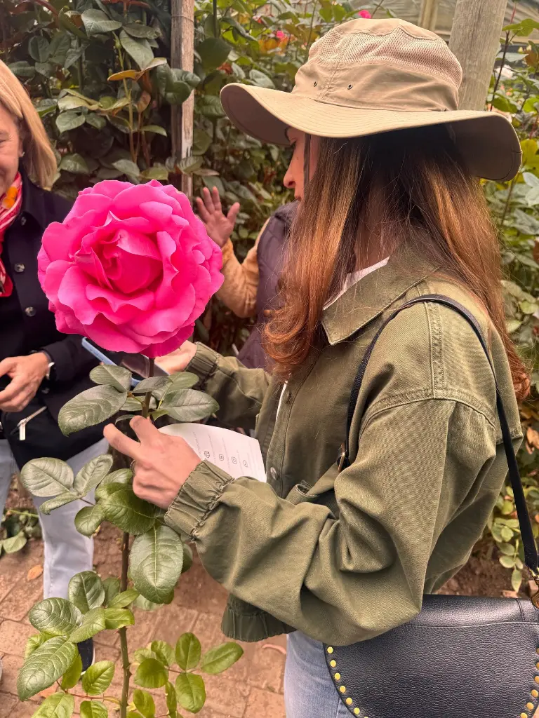 WhatsApp Image 2025-09-24 at 11.30.35 AM (9).webp