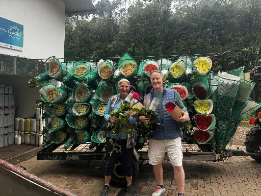 🌹 Sacha Rose Experience – Ecuador’s Finest Roses from Petal to Export